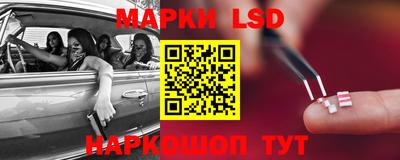 mdpv Новодвинск