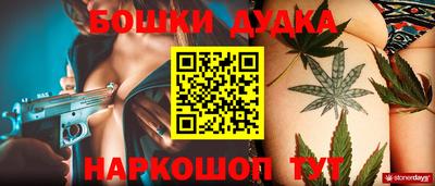 mdpv Новодвинск
