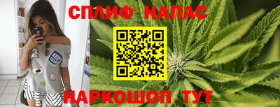 mdpv Новодвинск